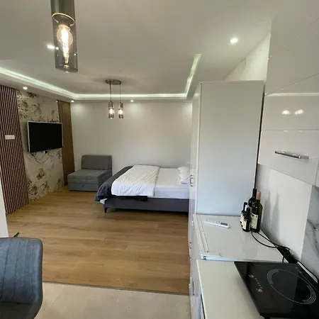 بيت ضيافة Boskovic بودغوريتْسا